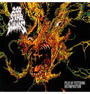 200 STAB WOUNDS - 'Piles Of Festering Decomposition' CD