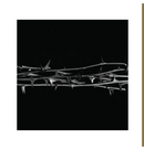 AMENRA - 'De Doorn' CD