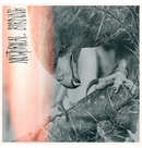 AUTHOR & PUNISHER - 'Nocturnal Birding' CD