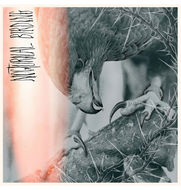 AUTHOR & PUNISHER - 'Nocturnal Birding' CD