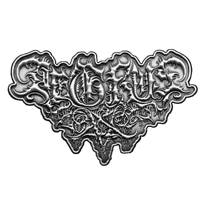 AEGRUS - 'Logo' Metal Pin