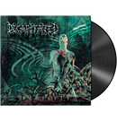 DECAPITATED - 'Nihility' LP  (Black)