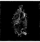 DAGGER LUST - 'Siege Bondage Adverse To The Godhead' CD