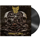 DEFEATED SANITY - 'Chronicles Of Lunacy' LP (Black)