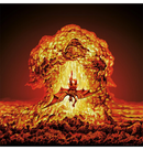 GOST - 'Prophecy' CD