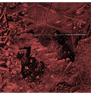 INTEGRITY - 'Systems Overload' CD