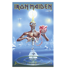IRON MAIDEN - 'Seventh Son' Flag