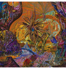 SLIMELORD - 'Chytridiomycosis Relinquished' CD