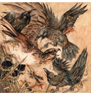 VALKYRIE - 'Shadows' CD