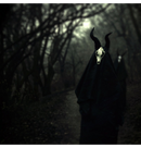 WHITE WARD - 'Futility Report' DigiCD