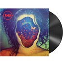 16 - 'Lifespan Of A Moth' LP (Black)