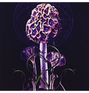 BLUT AUS NORD - 'Hallucinogen' CD