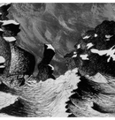 BLUT AUS NORD - 'Ultima Thulee' CD