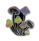 BAG OV BONES - 'Seeker' Patch