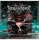 BORKNAGAR - 'Empiricism' CD