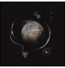 ENTHRONED - 'Cold Black Suns' CD