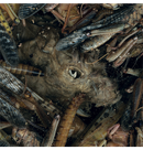 HESSIAN (A.D.) - 'Mànégarmr' CD