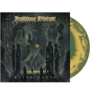 INSIDIOUS DISEASE - 'After Death' LP (Olive/Mustard Swirl)