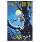 IRON MAIDEN - 'Fear Of The Dark' Flag