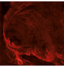 MISÞYRMING - 'Söngvar Elds Og Óreiðu' CD