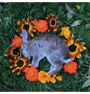 MONOLORD - 'Your Time To Shine' CD