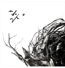 NEGURĂ BUNGET - 'Vîrstele Pamîntului' CD