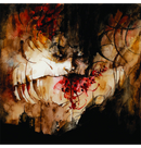 SHINING - 'IX - Everyone, Everything, Everywhere, Ends' CD