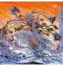 ULTHAR - 'Cosmovore' CD