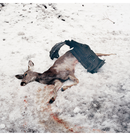 WHITE WARD - 'Debemur Morti' CD