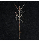 WIEGEDOOD - 'There's Always Blood At The End Of The Road' CD