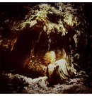 WOLVES IN THE THRONE ROOM - 'Celestial Lineage' DigiCD