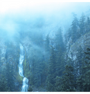 WOLVES IN THE THRONE ROOM - 'Diadem Of 12 Stars' CD